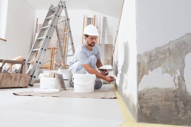 Best Comprehensive Air Testing for Mold Contaminants  in Franklin Square, NY