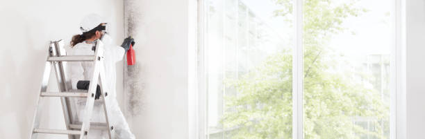 Best Water Damage & Mold Remediation  in Franklin Square, NY