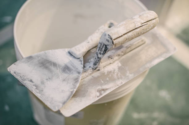 Best Mold Removal for HVAC Installations  in Franklin Square, NY